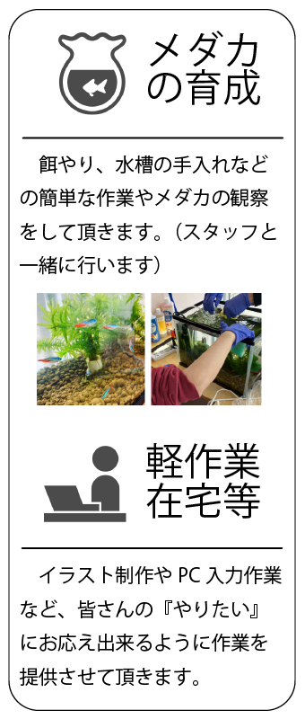 メダカのいくせい
スタッフと一緒に、メダカの餌やり、水槽の手入れなど
の簡単な作業やメダカのかんさつをして頂きます。

けいさぎょう、ざいたくなど

イラストせいさくや パソコンにゅうりょく作業など、皆さんの『やりたい』におこたえできるように作業をていきょうさせて頂きます。